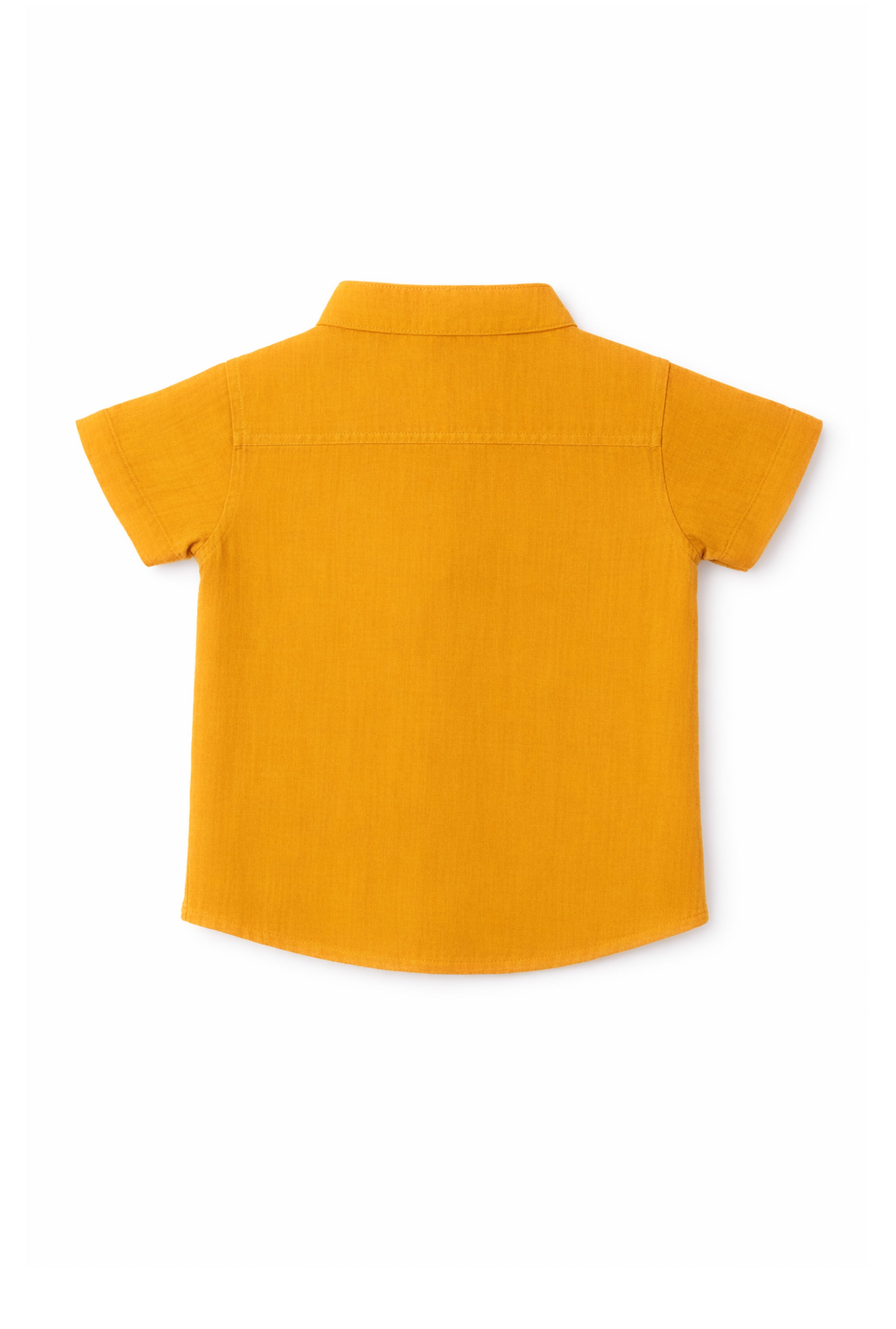 Nuberry Kids Half Sleeve Shirt | Sky Blue | Musturd