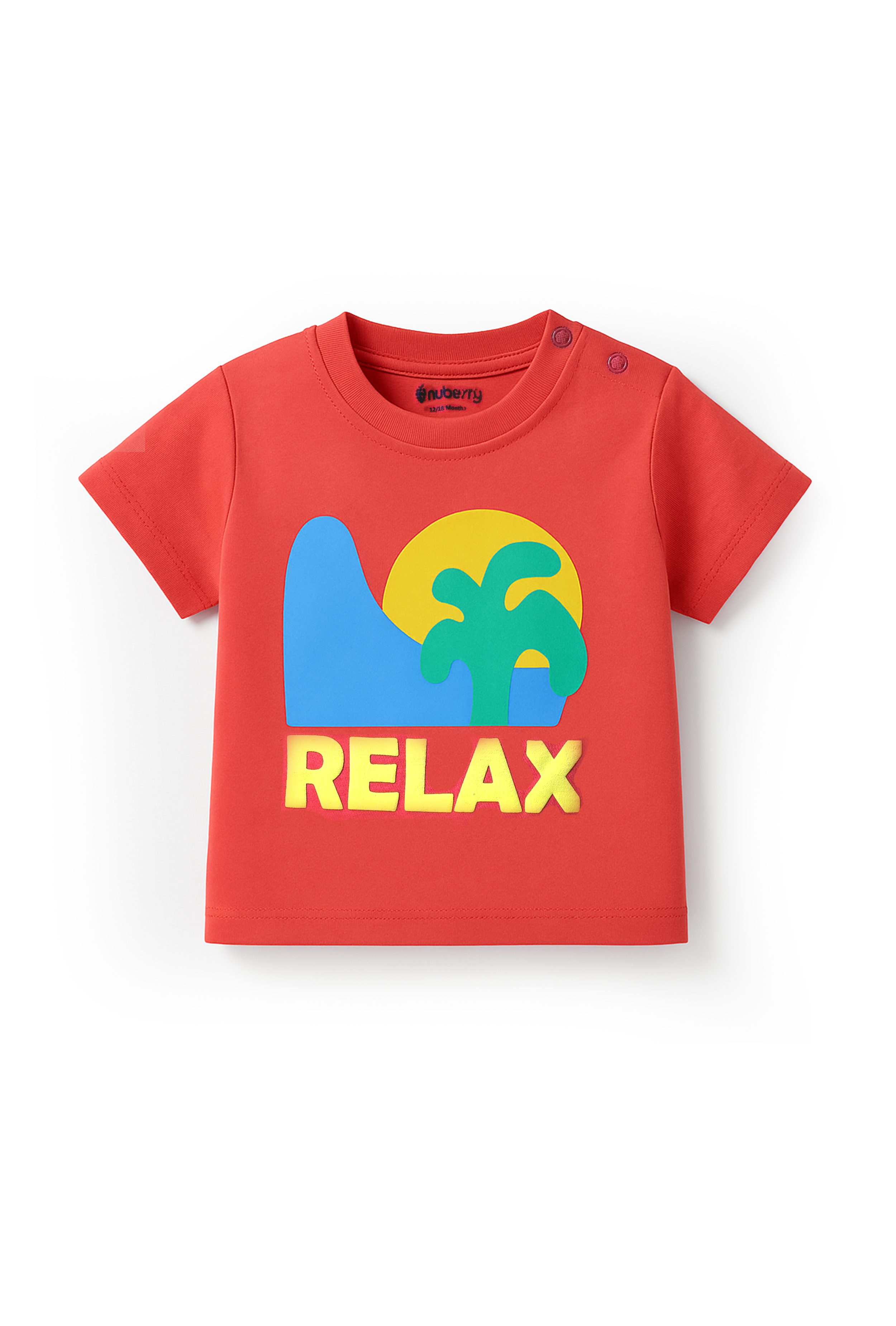 Nuberry Boys Multi-Color T-Shirt