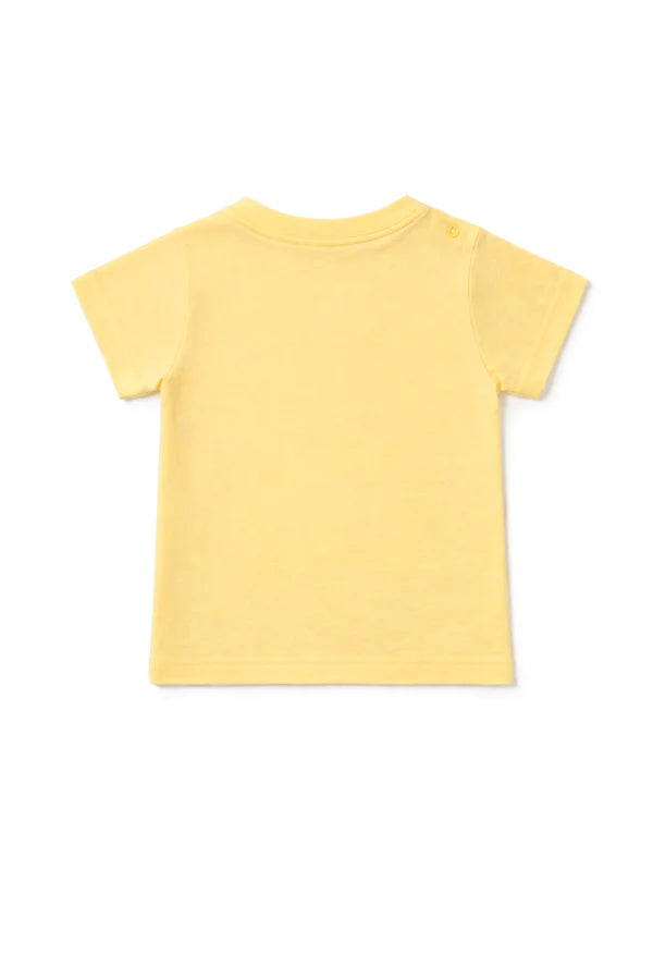 Double Style, Triple Comfort | Nuberry Boys 2 T-Shirt & 1 Short Combo