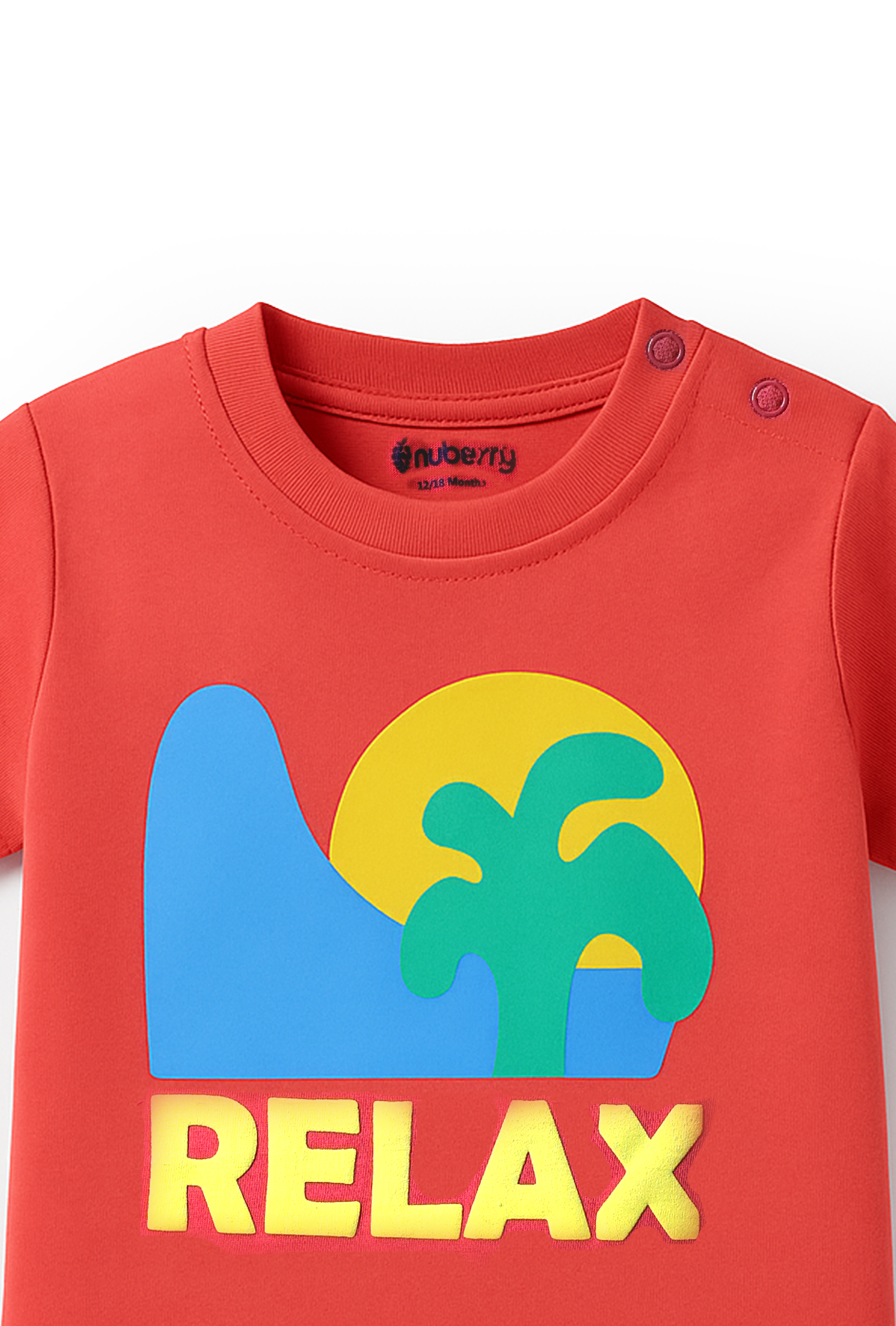 Nuberry Boys Multi-Color T-Shirt