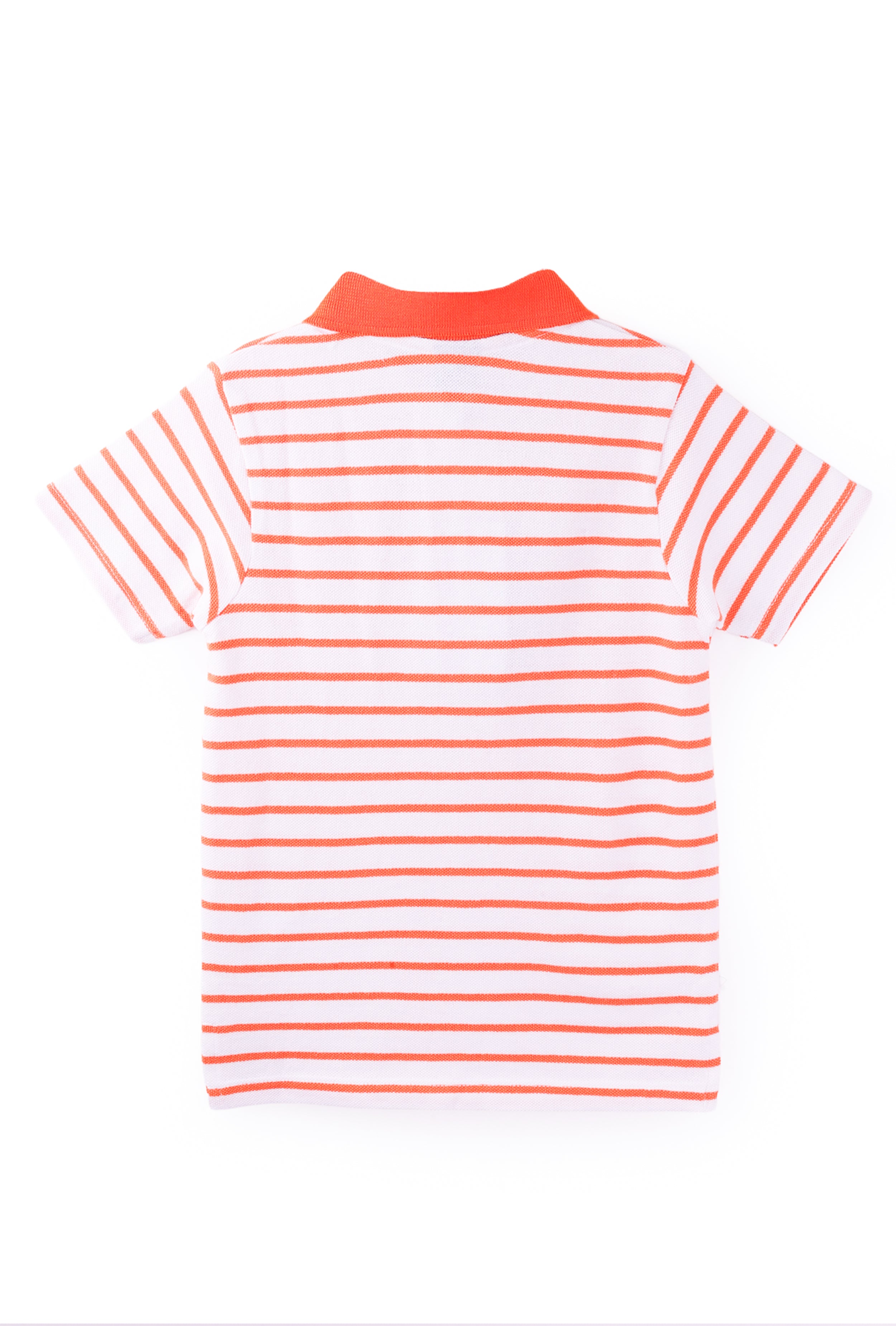 NUBERRY KIDS BOY-T-SHIRT-POLO-HALF SLEEVE