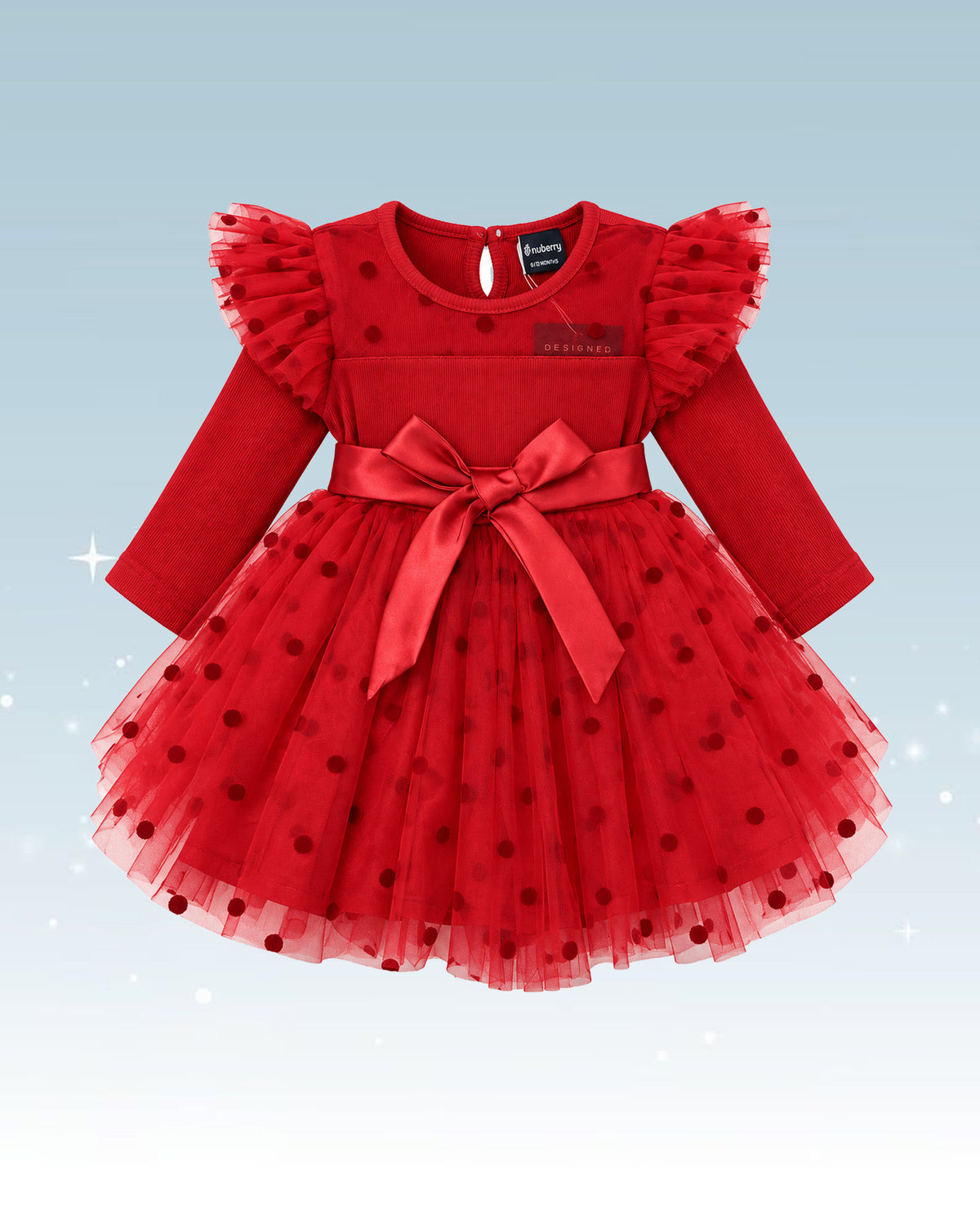 Nuberry Soft Mesh Baby Girl Party Frock | A Little Dress for Her Biggest Smiles