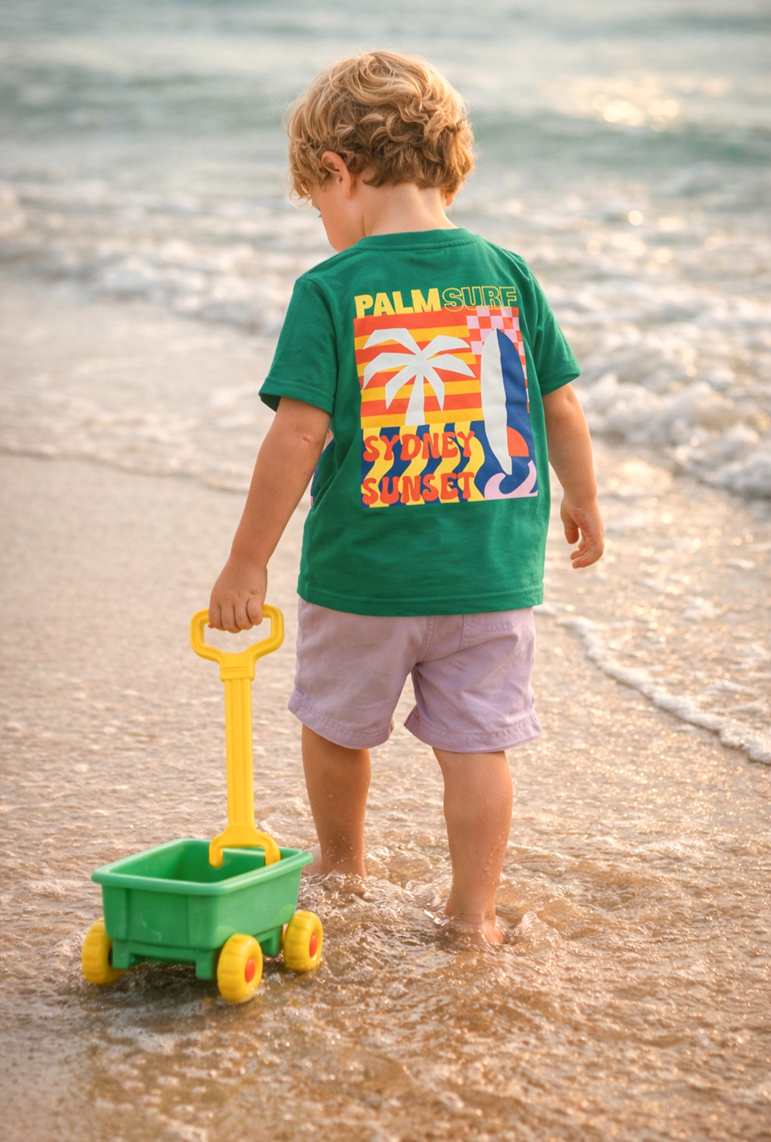 Boy T-Shirt and Shorts Set Green with Back side Print and Lavender Shorts