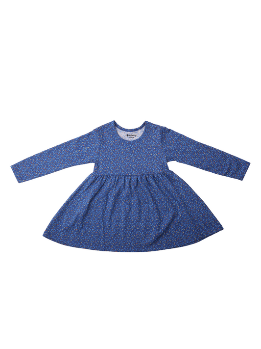 Blue Full Sleeve Dress for Girls