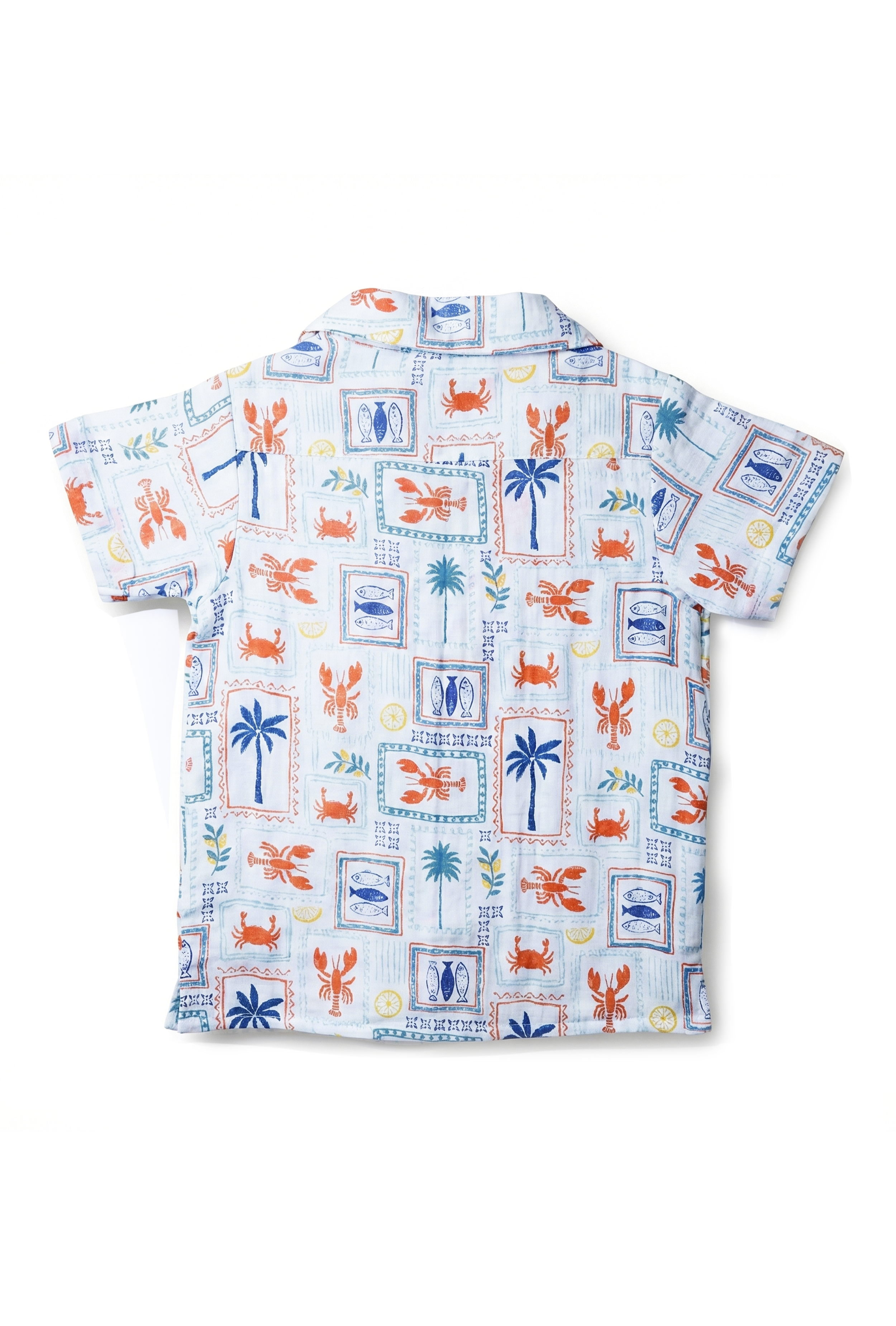 Nuberry Baby Boys Orange Shirt