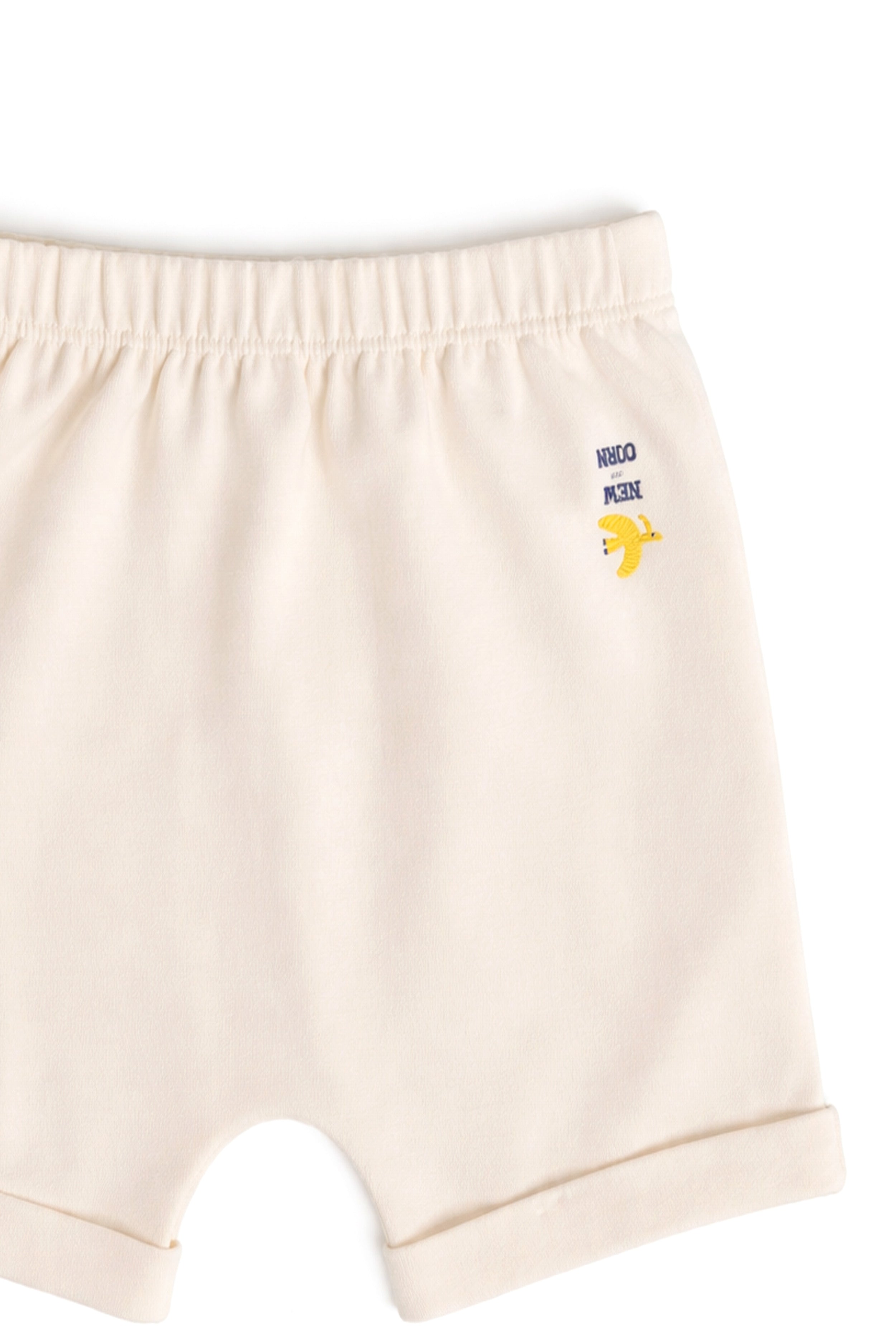 Everyday Comfort | Made with Care | Nuberry Unisex Shorts (Pack of 2)