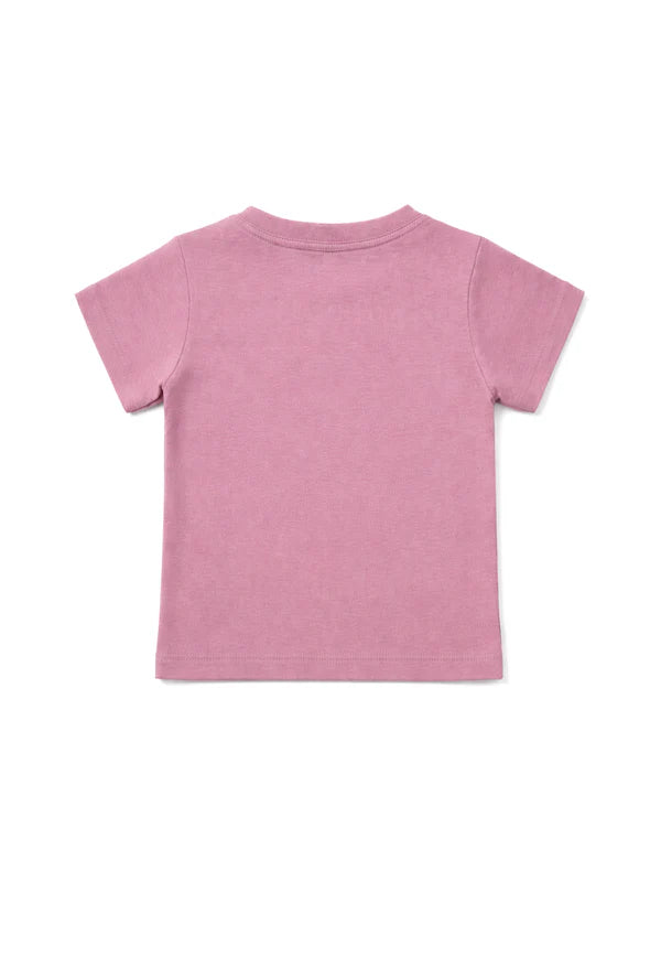 Double Style, Triple Comfort | Nuberry Boys 2 T-Shirt & 1 Short Combo
