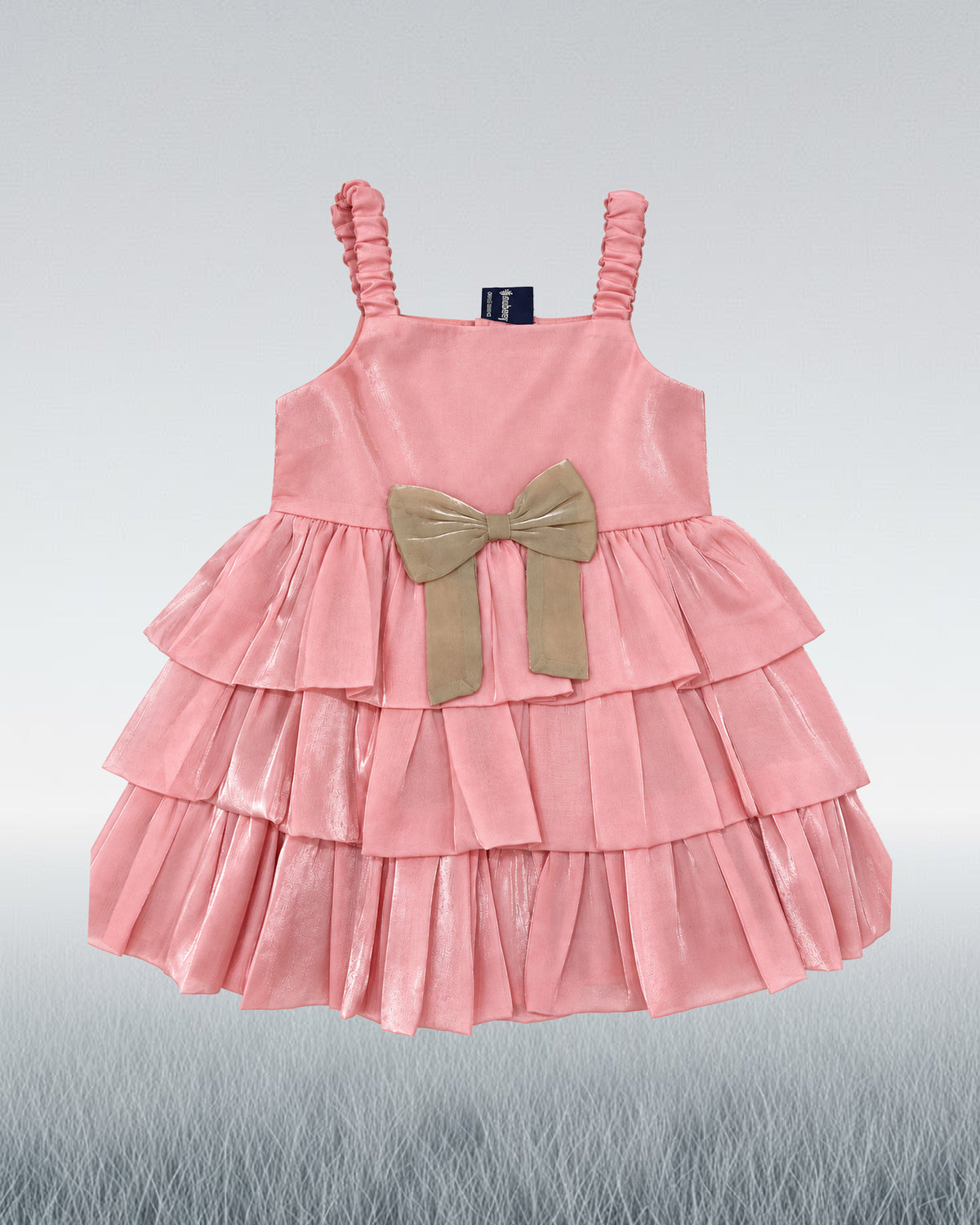 Nuberry Soft Mesh Baby Girl Party Frock | A Little Dress for Her Biggest Smiles