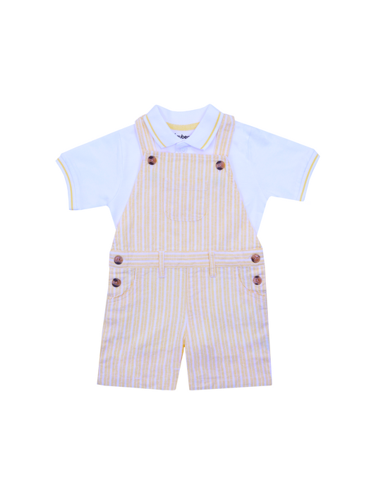 Yellow Striped Dungaree Set for Boys