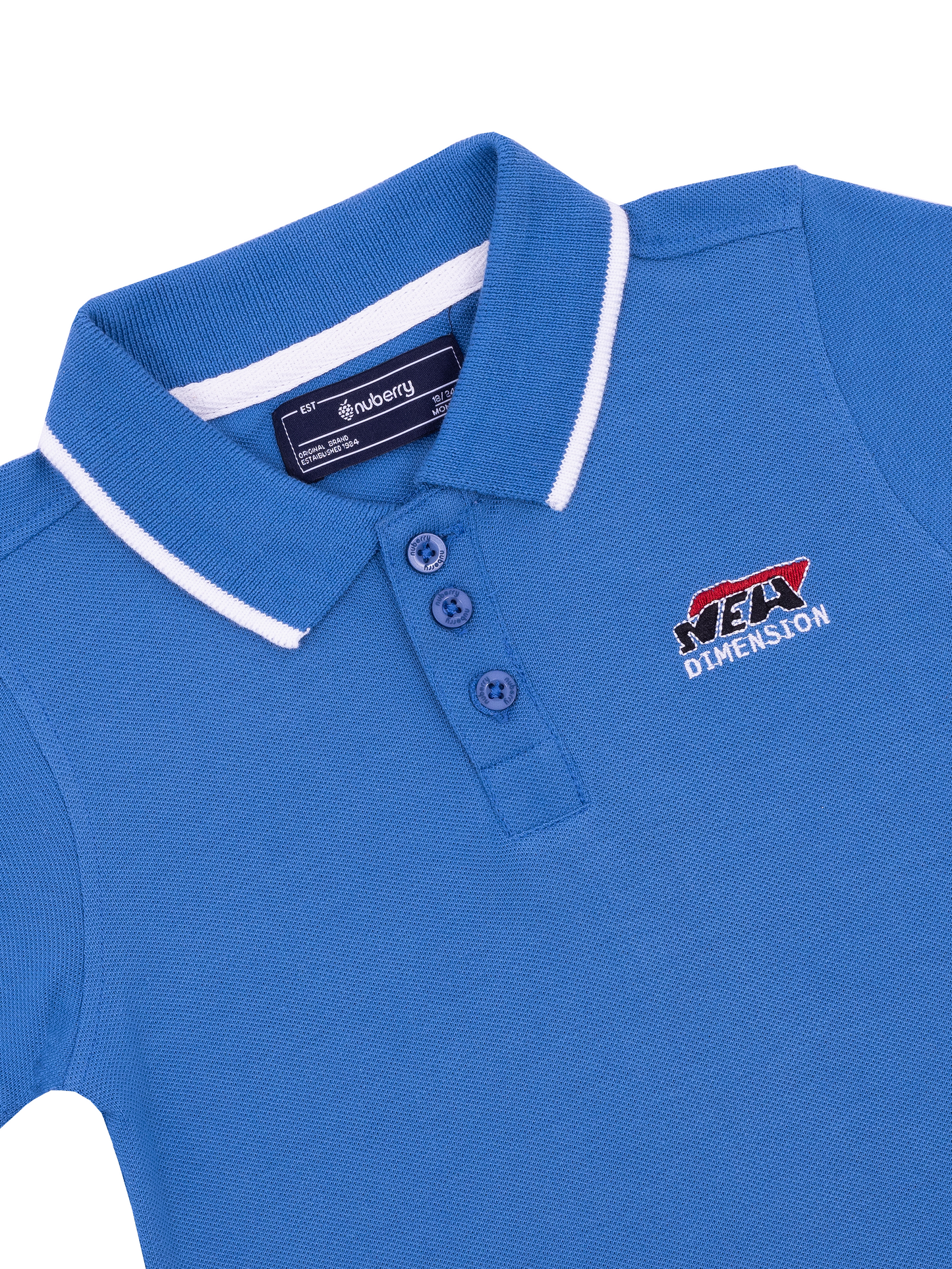 Blue Polo Half Sleeve T-Shirt for Boys