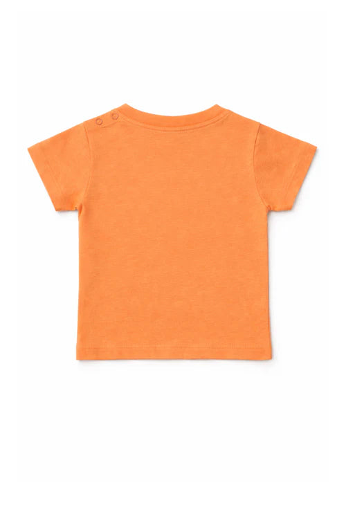 Double Style, Triple Comfort | Nuberry Boys 2 T-Shirt & 1 Short Combo