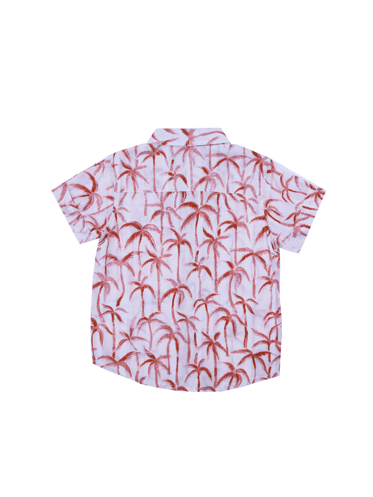 Palm Tree Printed Half Sleeve Shirt for Boys