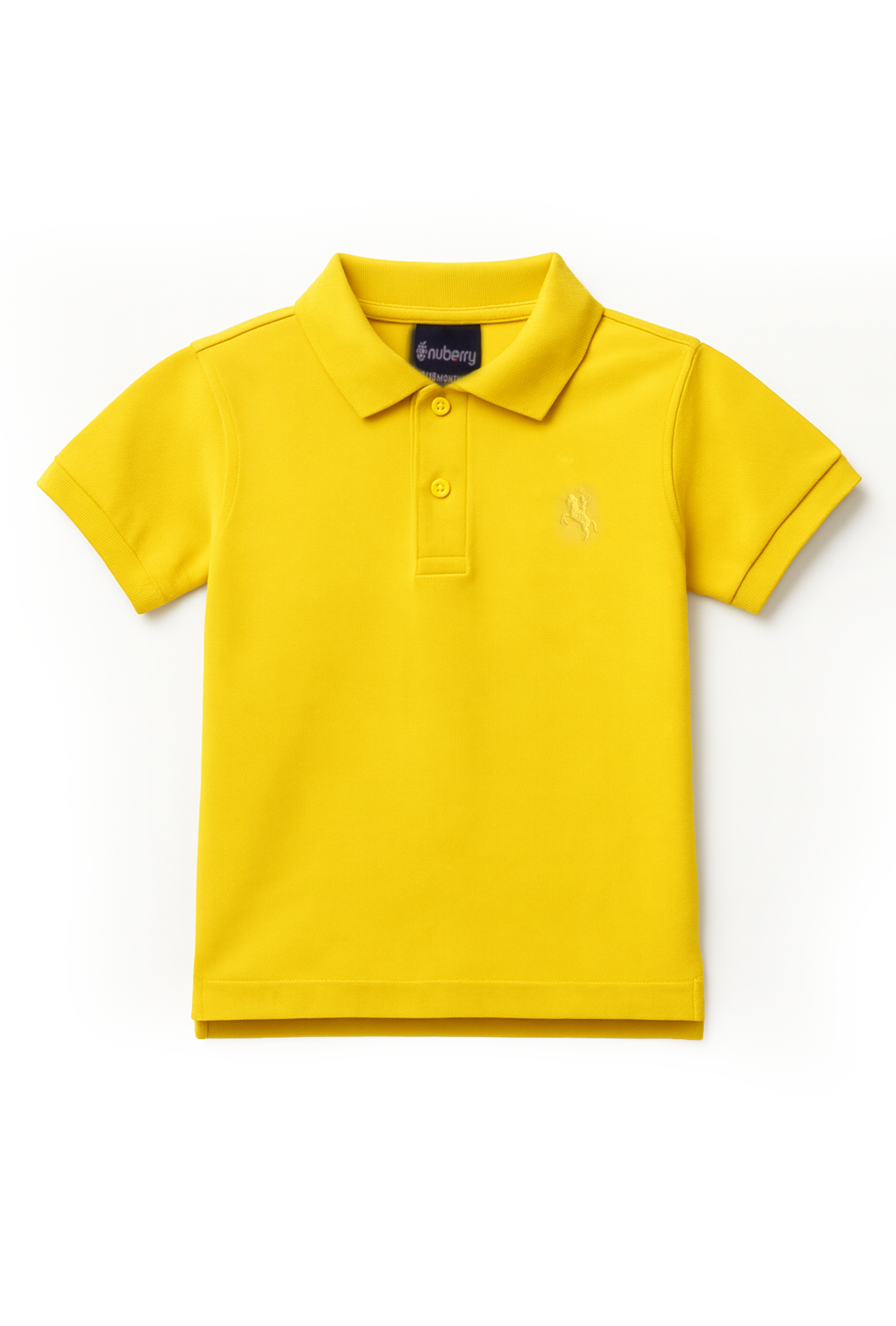 Nuberry Kids Boy Polo T-Shirt – Half Sleeve