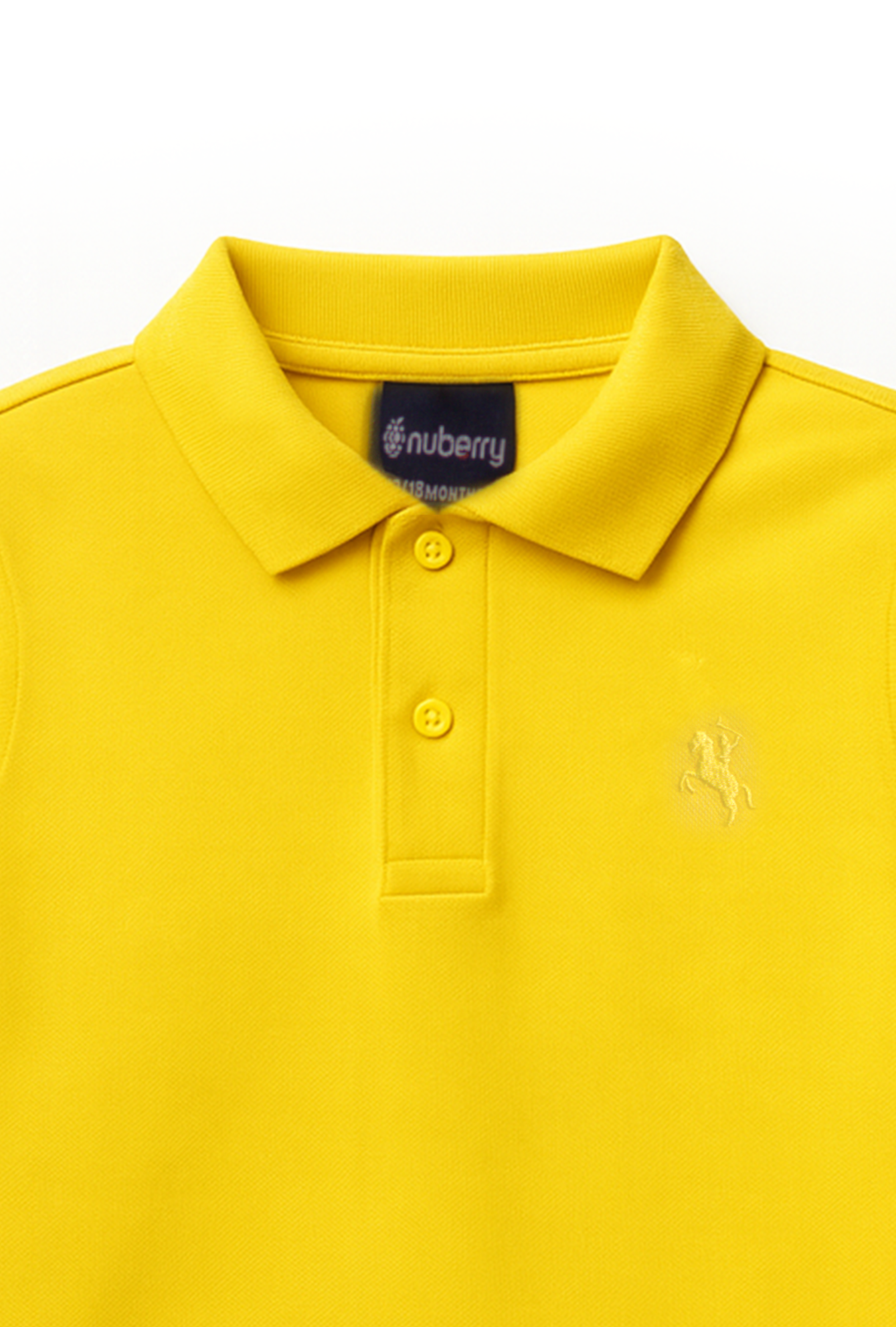 Nuberry Kids Boy Polo T-Shirt – Half Sleeve