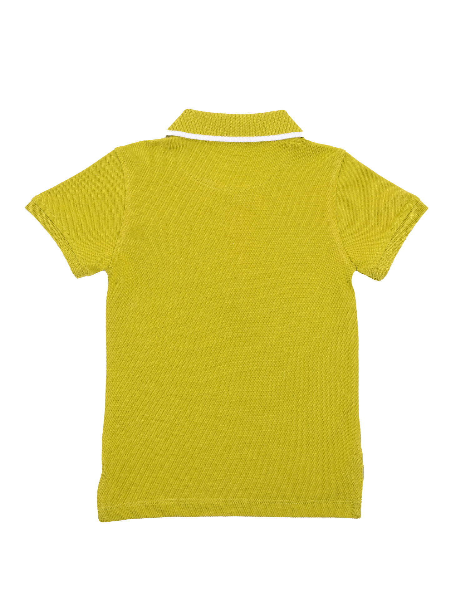 Green Polo Half Sleeve T-Shirt for Boys