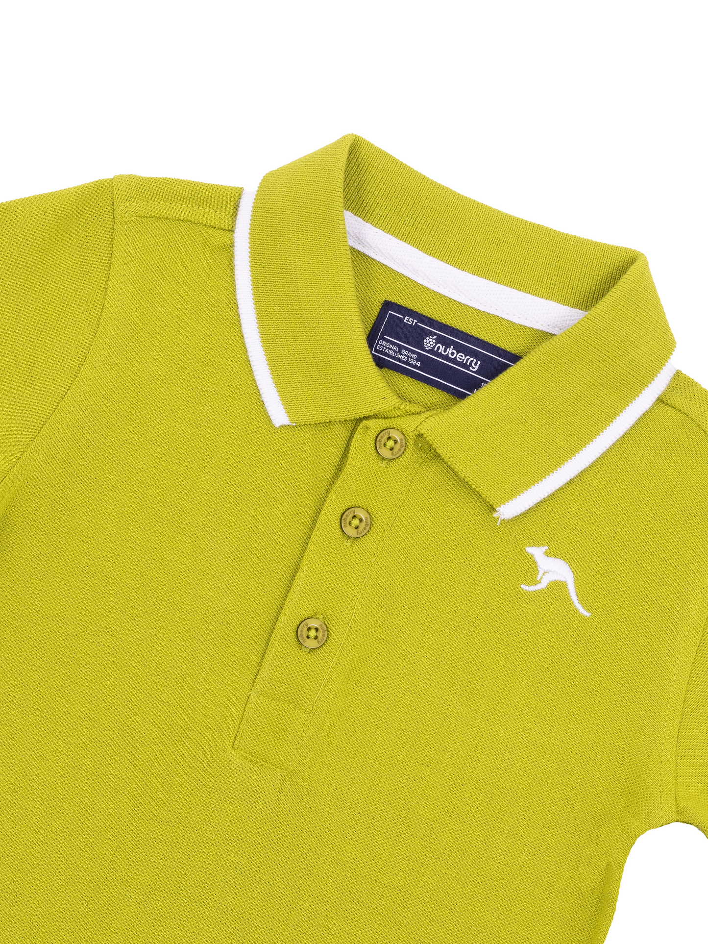 Green Polo Half Sleeve T-Shirt for Boys