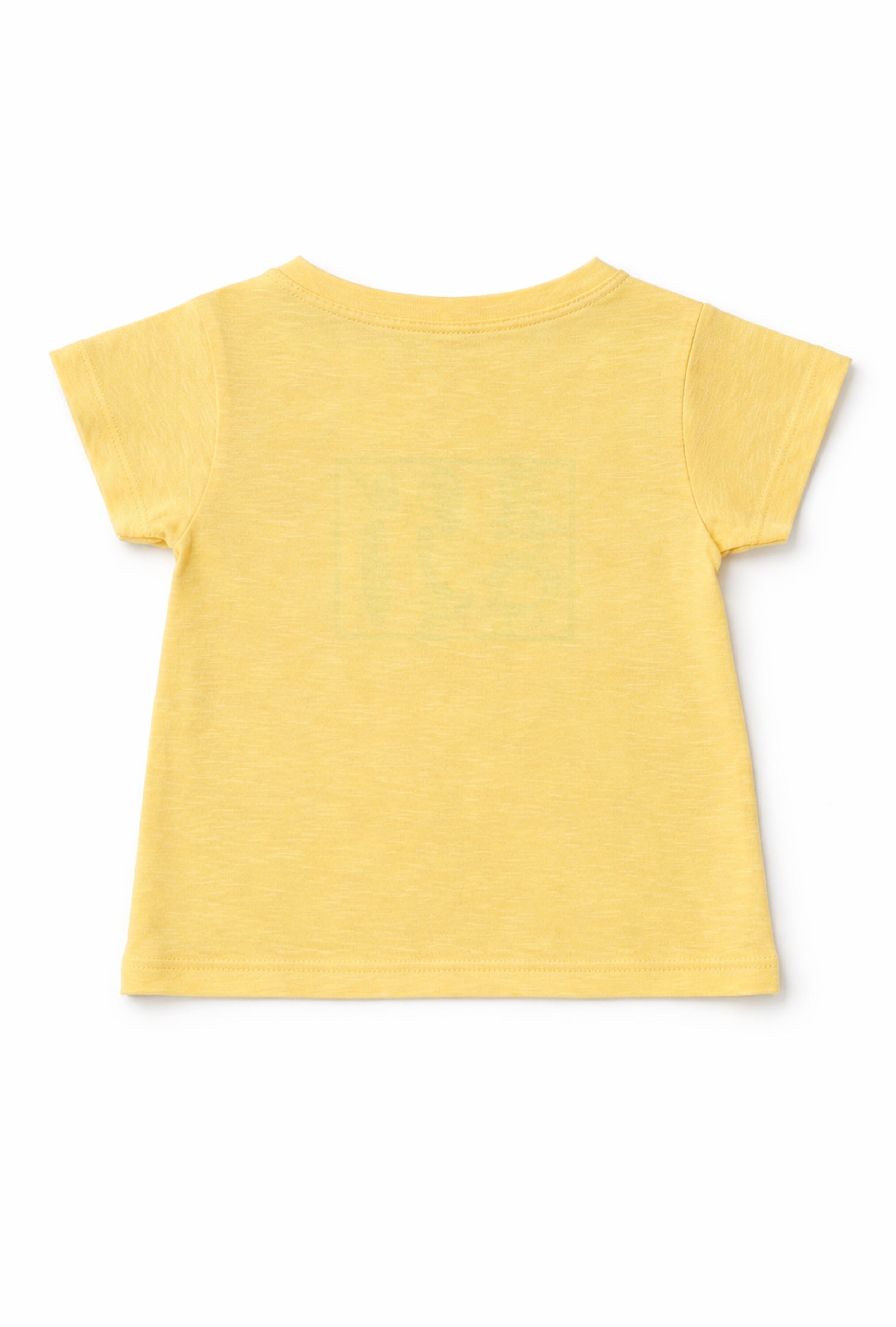 Boy T-Shirt and Shorts Set Lavender and Forcent Green Shorts