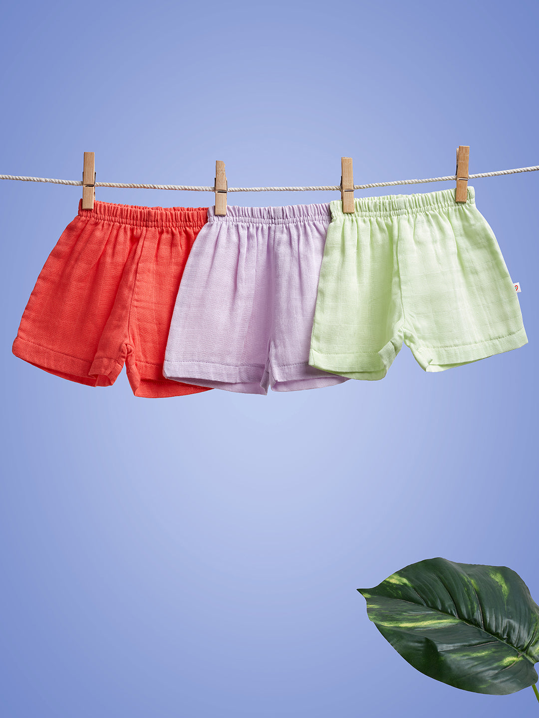 Nuberry New Born Organic Cotton Muslin Shorts Set Pack of 3